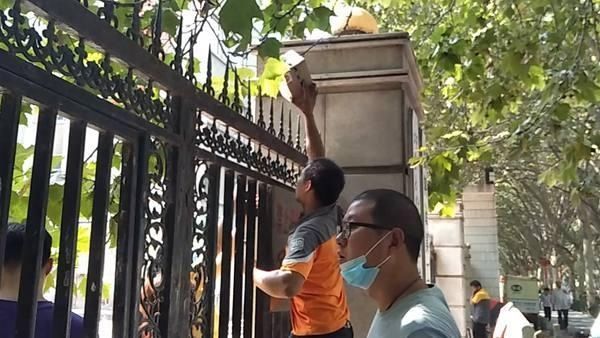 订单|开学季校园订单猛增 快递小哥各施“神投绝技”忙得不亦乐乎