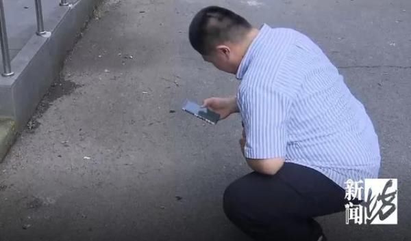  居民|什么幺蛾子？！沪一小区被神秘生物占领，现场看傻眼