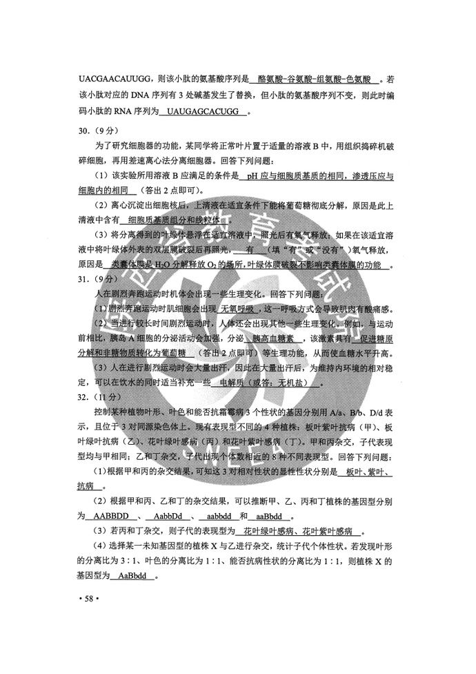  完整版|2020年陕西高考全科试题+参考答案 （完整版）|909扩散