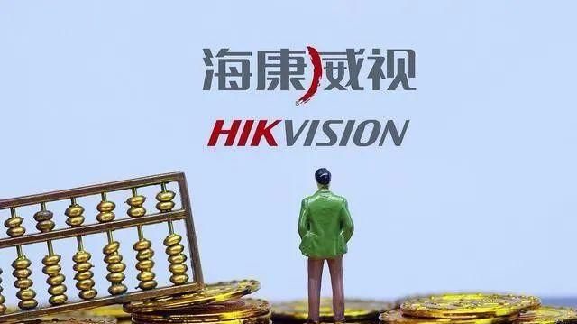  龙头企业|海康威视2020半年报：我们看到龙头企业的不容易