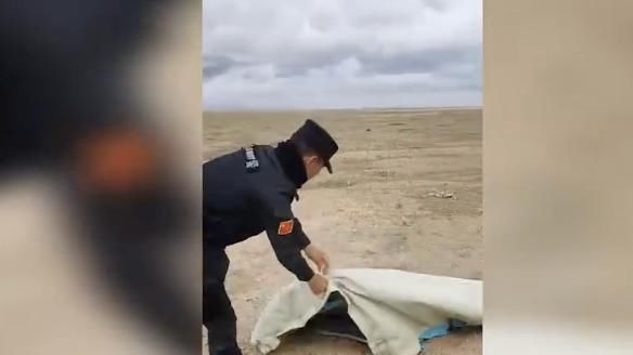  独自|她去可可西里就是为了死？女孩是飞行员专业，曾独自去非洲