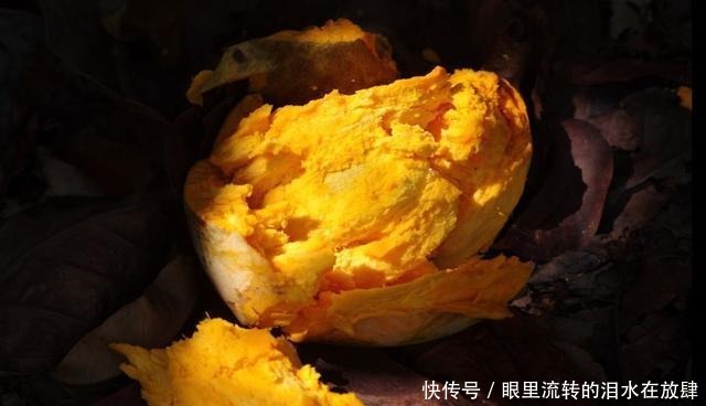 哪种|水果界的“李佳琦”,吃遍3000多种水果,哪种最好吃