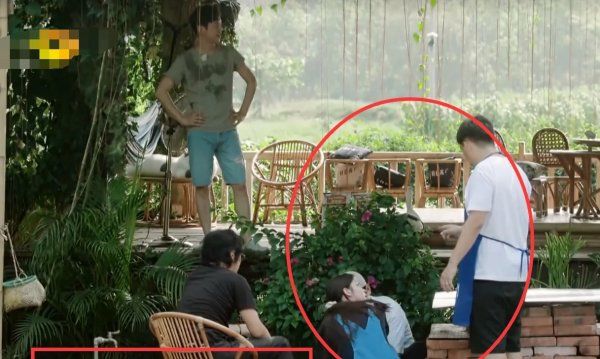  黄磊|《向往的生活》最金贵的嘉宾, 黄磊不敢让她干活, 因为赔不起!