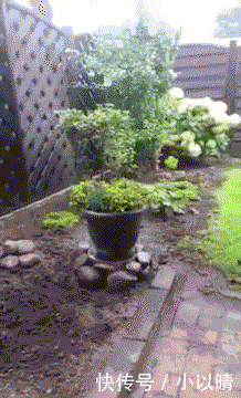  被窝|笑话趣图: 我媳妇儿早上醒来, 发现被窝里多了个人, 一脚就踹下床了