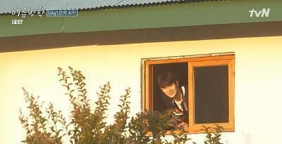  综艺|抛开抄袭风波，确实很治愈……