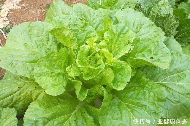 简单|吃了20年才知道,它是“蔬菜之王”,简单一炒,营养全面又鲜美