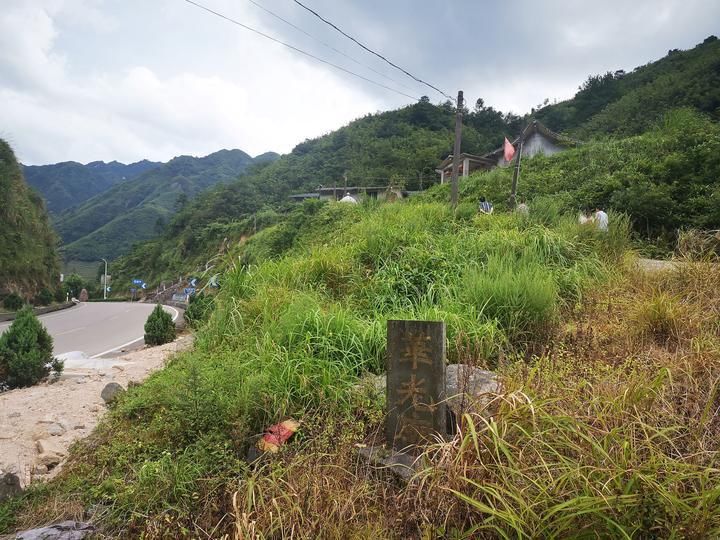 藏身|杀人放火连3岁孩子都不放过！22年前衢县灭门案嫌疑人藏身深山小庙终被抓获