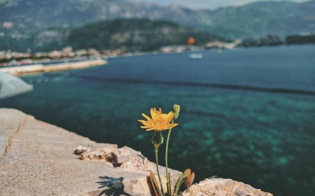  再见|“爱你那么久，到后也没舍得说再见”