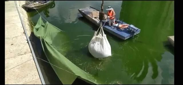  泵站|蛙人下水抢修，险被旋涡“咬住”！合肥南淝河再遇险情……