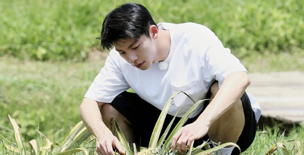  投资方|《向往》迎最没存在感嘉宾，何炅也不带他，投资方硬塞进来的？是谁？