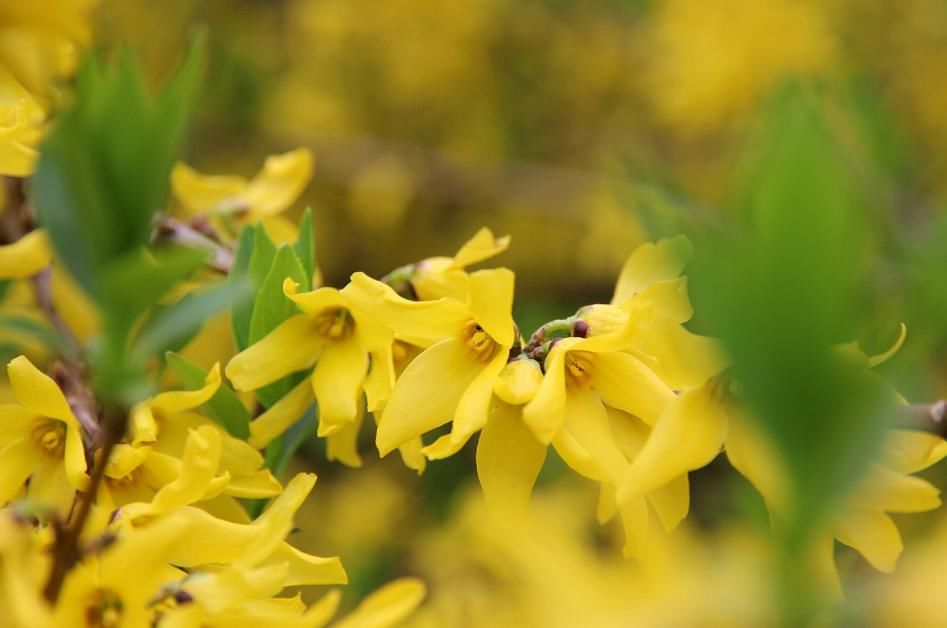 孤独|不愿“将就”的四个生肖女，哪怕孤独终老一辈子，也不愿随随便便