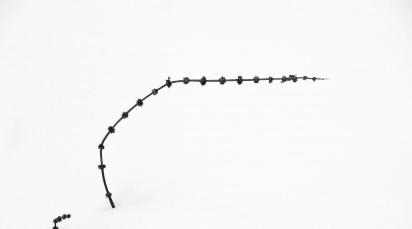 爱情运势|八月份,被月老点名的四大星座,桃花运缠身,爱情的萌芽彻底苏醒