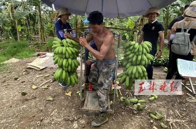 仁东镇鹏垌|令人骄傲！玉林这些地方的变化真大