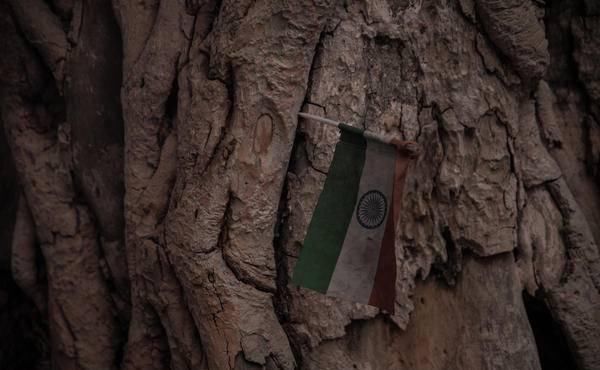  受伤|受伤的文明：印度