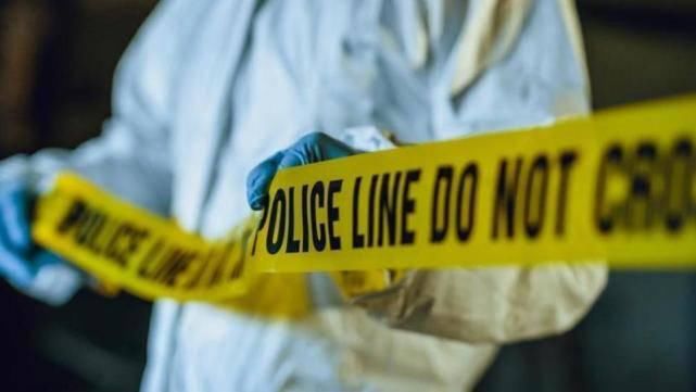  身亡|兄弟俩一起开车回家，半路撞上一头牛双双身亡