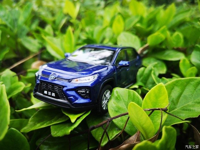 拍摄|拥有威兰达车模,绽放花丛中,说说感受