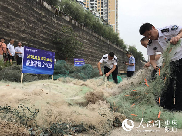 捕鱼|护渔志愿者：从捕鱼到护鱼到育鱼