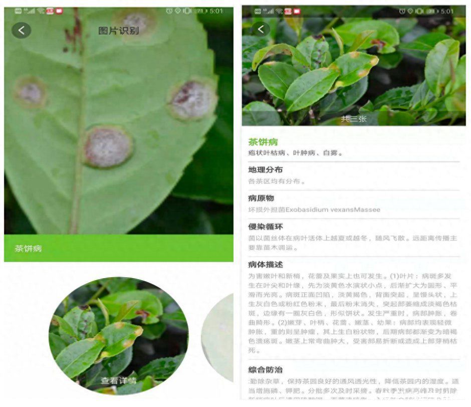 智能秋收！手机拍一拍就能给农作物看病2023