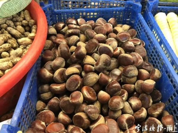 卖出|1天卖出1000多斤 宁波人最爱的这种美食上市啦