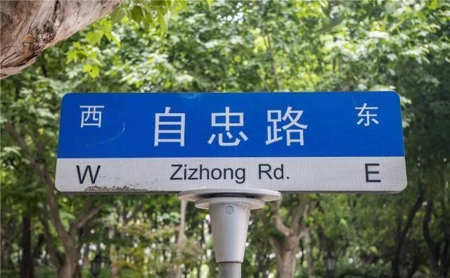 马路|回忆杀卢湾区超嗲百年马路,上海人永远记得你