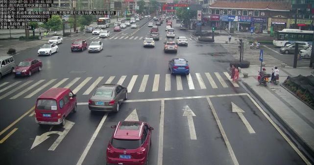 栖霞路北|都“跑”不脱！车辆违法，行人闯红灯……今天全曝光——