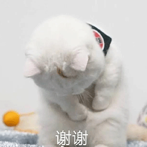 文明城市|宁乡市入围“全国文明城市”提名！感谢有你……