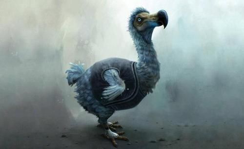 上榜|探索神奇的世界世界10大灭绝动物，霸王龙和渡渡鸟上榜，你认识几个