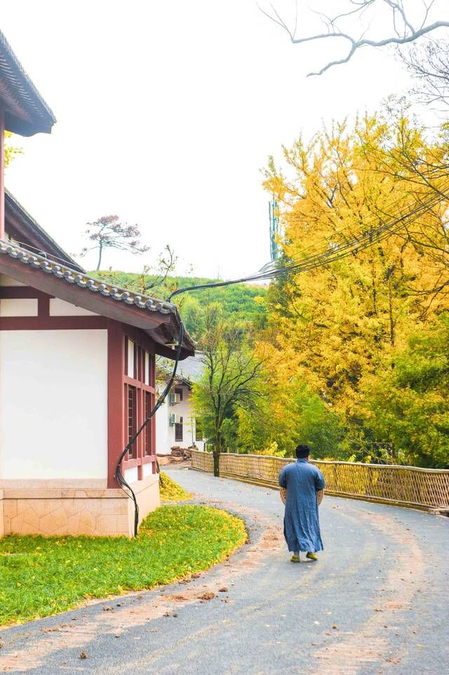  禅院|江南最“厉害”的禅院，连日本人的茶道都是起源于此，爱茶者必来