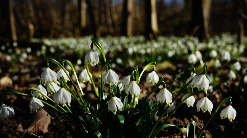 走出|7月底，痴情不移，走出爱情低谷的4星座，遇见前任，相逢如初见