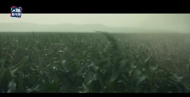 穿越|《星际穿越》深度彩蛋分析!为何选玉米为末日谷物原来还有这操作