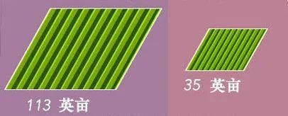  勃艮第|波尔多 VS 勃艮第