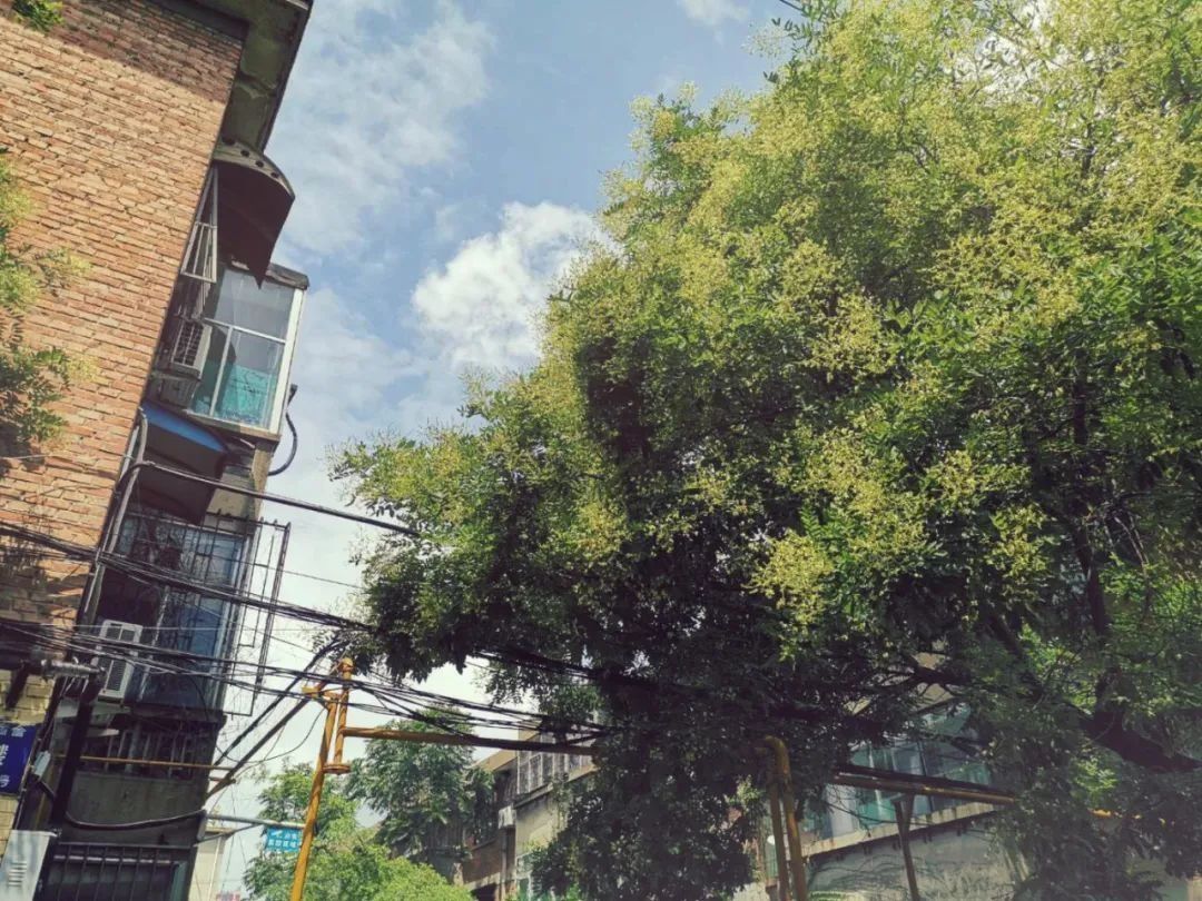  济宁|瞒不住了！济宁这些“隐秘的角落”必须曝光