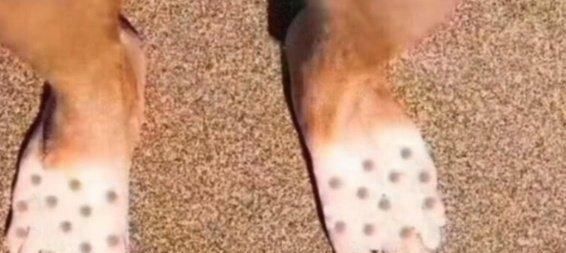 操作真|“什么行业可以让普通人翻身？”哈哈哈哈，神评太调皮了！