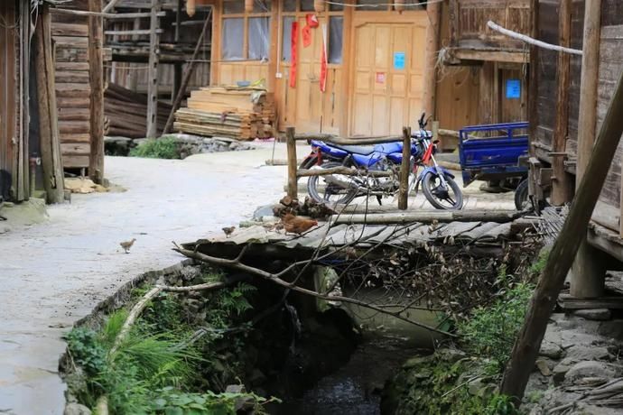  黄岗|村光灿烂 | 如果认识陶渊明，我一定让他到黄岗来。