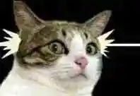 解决|一句话也不“说”，矛盾就解决了！香洲法院怎么做到的？