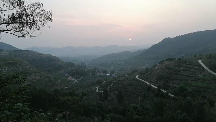 沂源|视频︱沂源偏远小山村19岁听障女孩编排舞蹈为家乡苹果打CALL