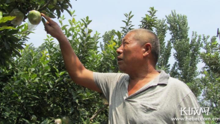  攻坚|啃“硬骨头” 脱贫攻坚不胜不还