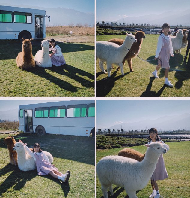  海埂大坝|在云南这样旅拍，我直呼过瘾！