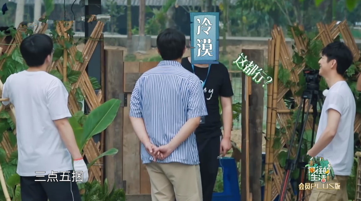 何老师|一只鸡要十捆香蕉!黄磊拿板砖“威胁”导演,周迅调侃彭彭太自恋