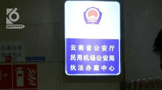 护照|“什么？还需要戴手铐吗？”借款3000多万一分不还，篡改护照登机被抓