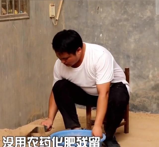 科学|年销十万的沙土，真能治好＂宝宝红屁屁＂？还真有一定的科学道理