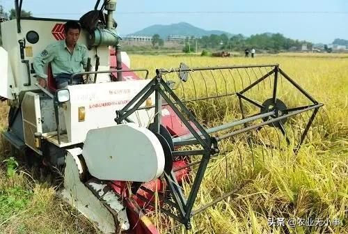  种植收益|农村一个现实的问题：粮食价格不涨，农民收入怎么增加