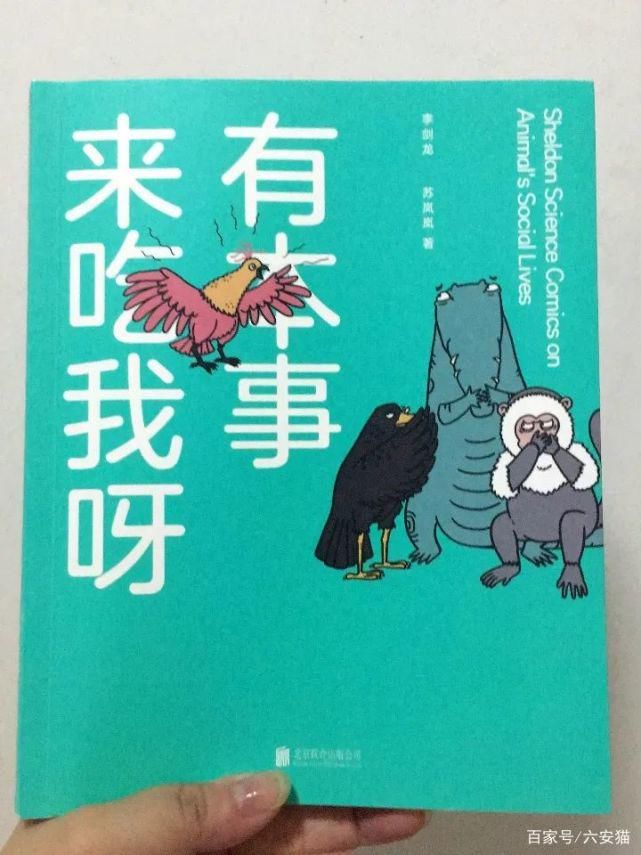 本事来吃|拥有美貌的麝雉,为什么屡屡遭到拒绝,只因为它自带体“香”