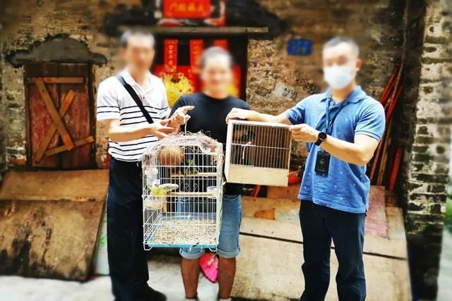 濒危|网上出售珍贵濒危野生动物,抓!