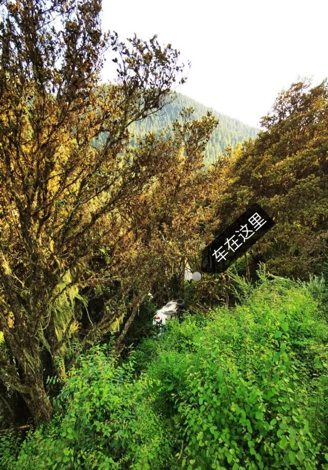  中线|那天，我就在川藏中线翻掉的那台车里