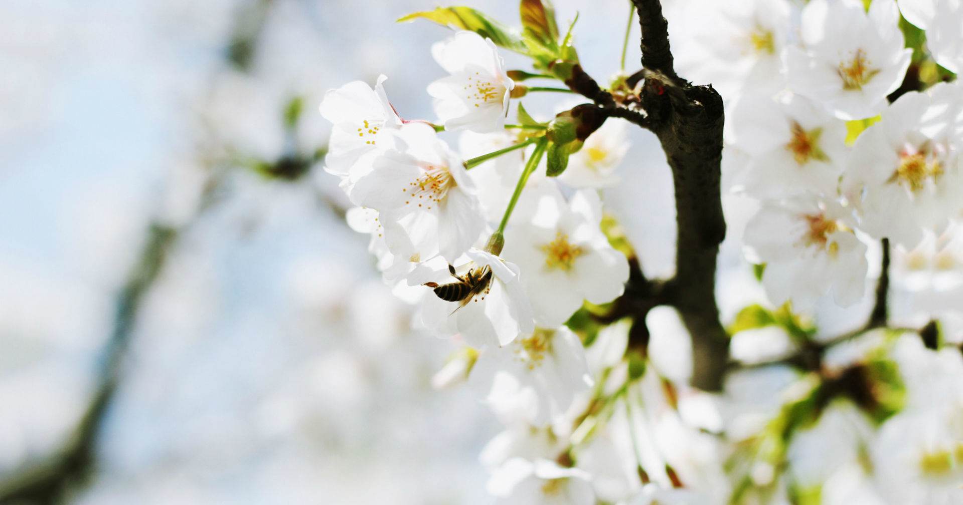  重修旧好|在9月内，重修旧好，念念不忘的前任旧爱，破镜重圆的四大星座