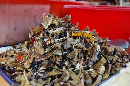  老城区|小企这一站：福鼎、觅食老城区