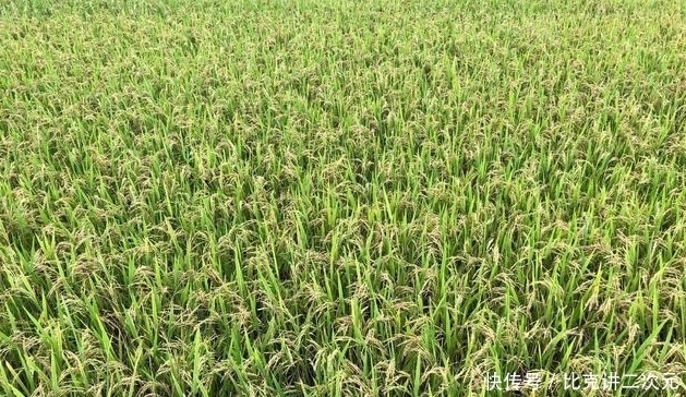 天灾|中国最大的一次天灾，导致数亿人死亡，不然中国人早超20亿！