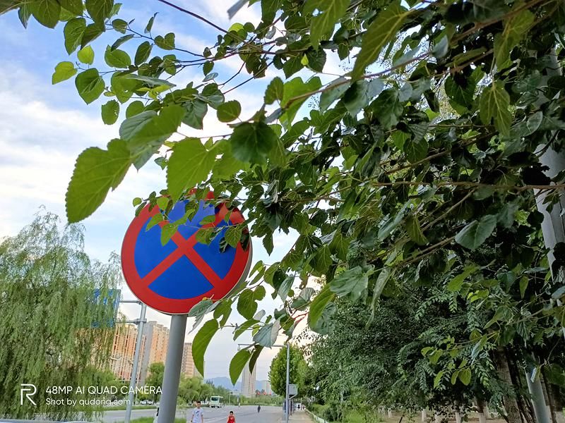  评测|打响5G手机平价第一枪 realme真我V5体验评测