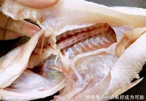 去掉|做鱼时,不管什么鱼,只要去掉这“4个部位”,就能彻底去腥除味